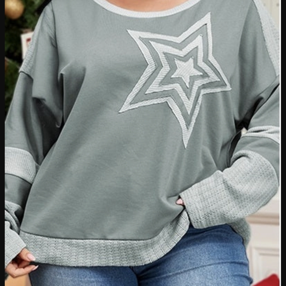 Gray Star Patterned Sweater 2X